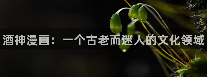 羞汗汗漫画：酒神漫画：一个古老而迷人的文化领域