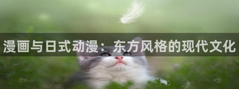 汗汗漫画登录页面免费漫画入口：漫画与日式动漫：东方风格的现代文化