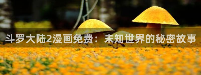 汗汗漫画首页：斗罗大陆2漫画免费：未知世界的秘密故事