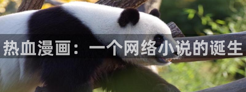 汗汗漫画：热血漫画：一个网络小说的诞生