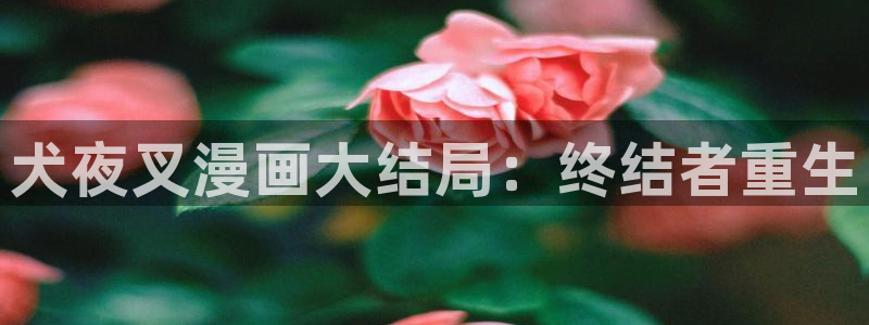 汗汗漫画免费阅读在线：犬夜叉漫画大结局：终结者重生