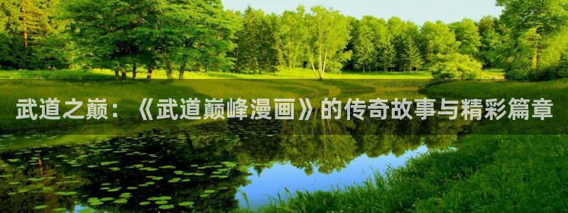 汗汗漫画免费在线下载：武道之巅：《武道巅峰漫画》的传奇故事与精彩篇章