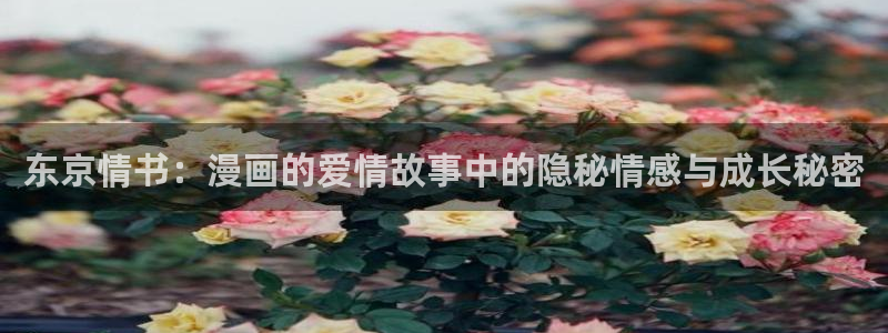 汗汗漫画韩漫免费：东京情书：漫画的爱情故事中的隐秘情感与成长秘密