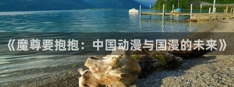 汗汗漫画sss首页：《魔尊要抱抱：中国动漫与国漫的未来》