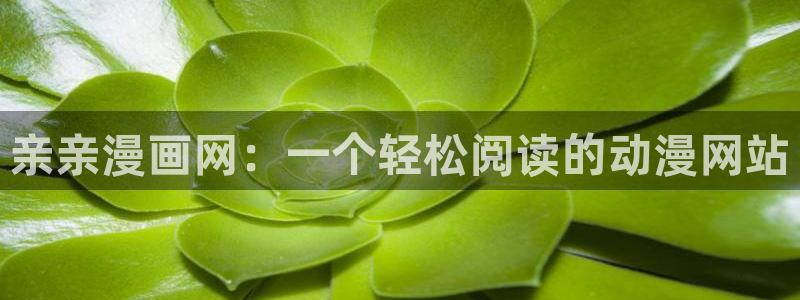 汗汗漫画污